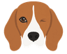Tommy, mascota de TATÁI